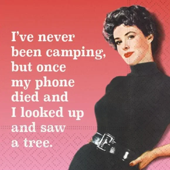 Fun - Picture 16 of 16